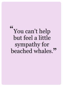 Third_tri_quote