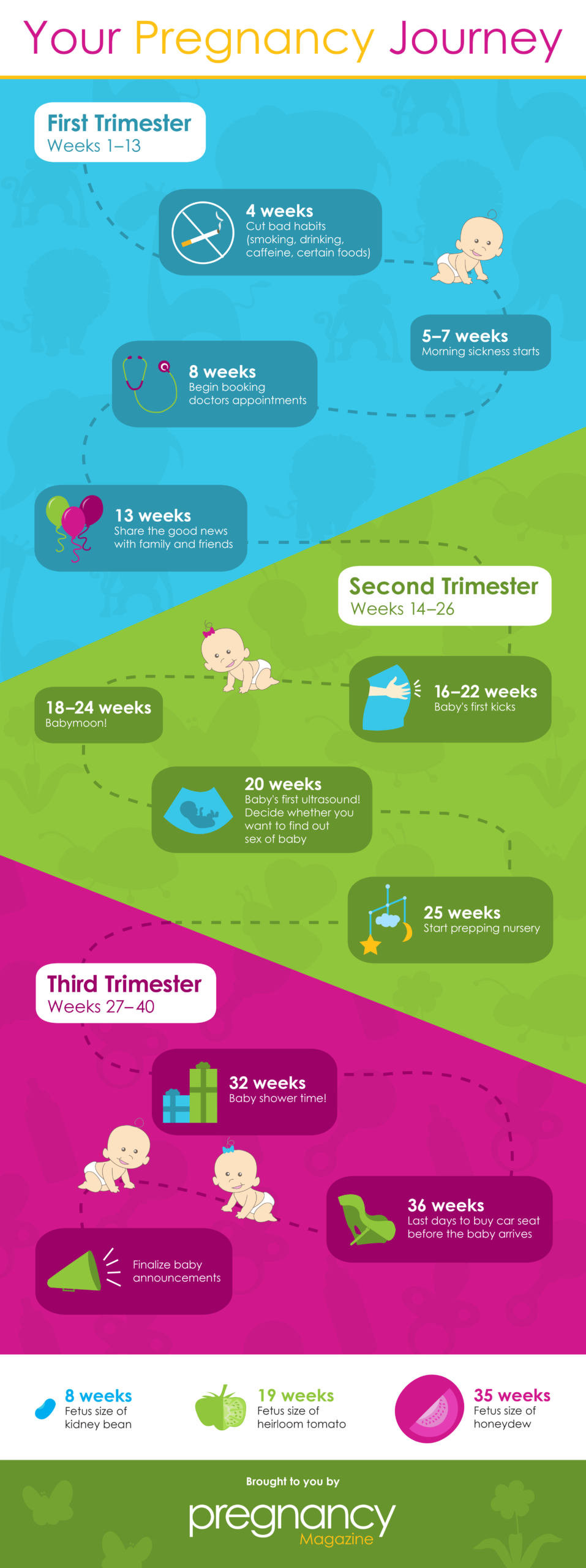 journey at the time of pregnancy