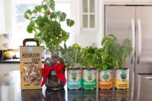 farmhouse_growing_front_holiday