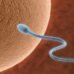 How do I know when I am ovulating